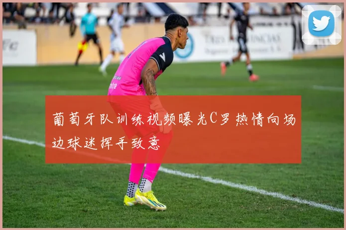 葡萄牙队训练视频曝光C罗热情向场边球迷挥手致意